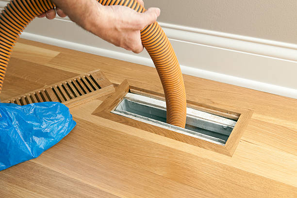 Air Duct Mold Removal in Lyndonville, VT